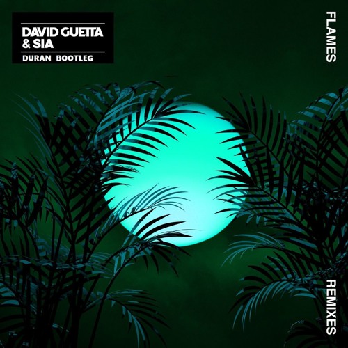 David Guetta & Sia - Flames (Duran Bootleg)