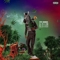 Im Up Now (Prod. Billsup)