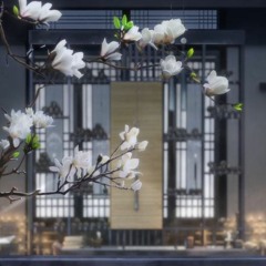 Vấn Cầm - Ngân Lâm - 問琴 银临