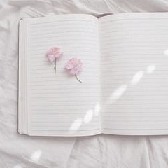to dream a dream