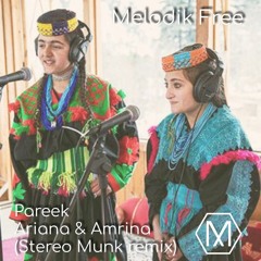 Ariana& Amrina - Pareek (STEREO MUNK remix)[Melodik Free]