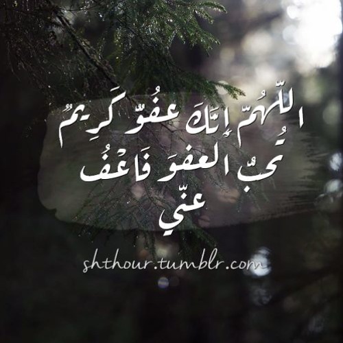 سورة النبأ | الشيخ  ناصر القطامي