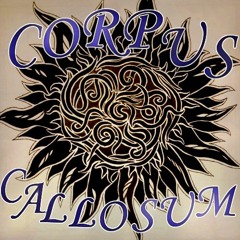 Corpus Callosum (unmastered)
