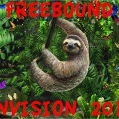 FreeBounD - Envision 2018