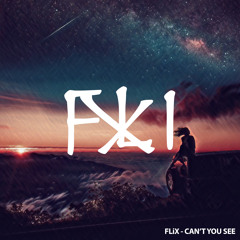 FLiX - CAN'T YOU SEE