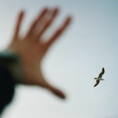 Adrift