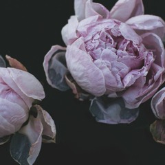 KRANE & Lemay - Going Back (Term Six Remix)