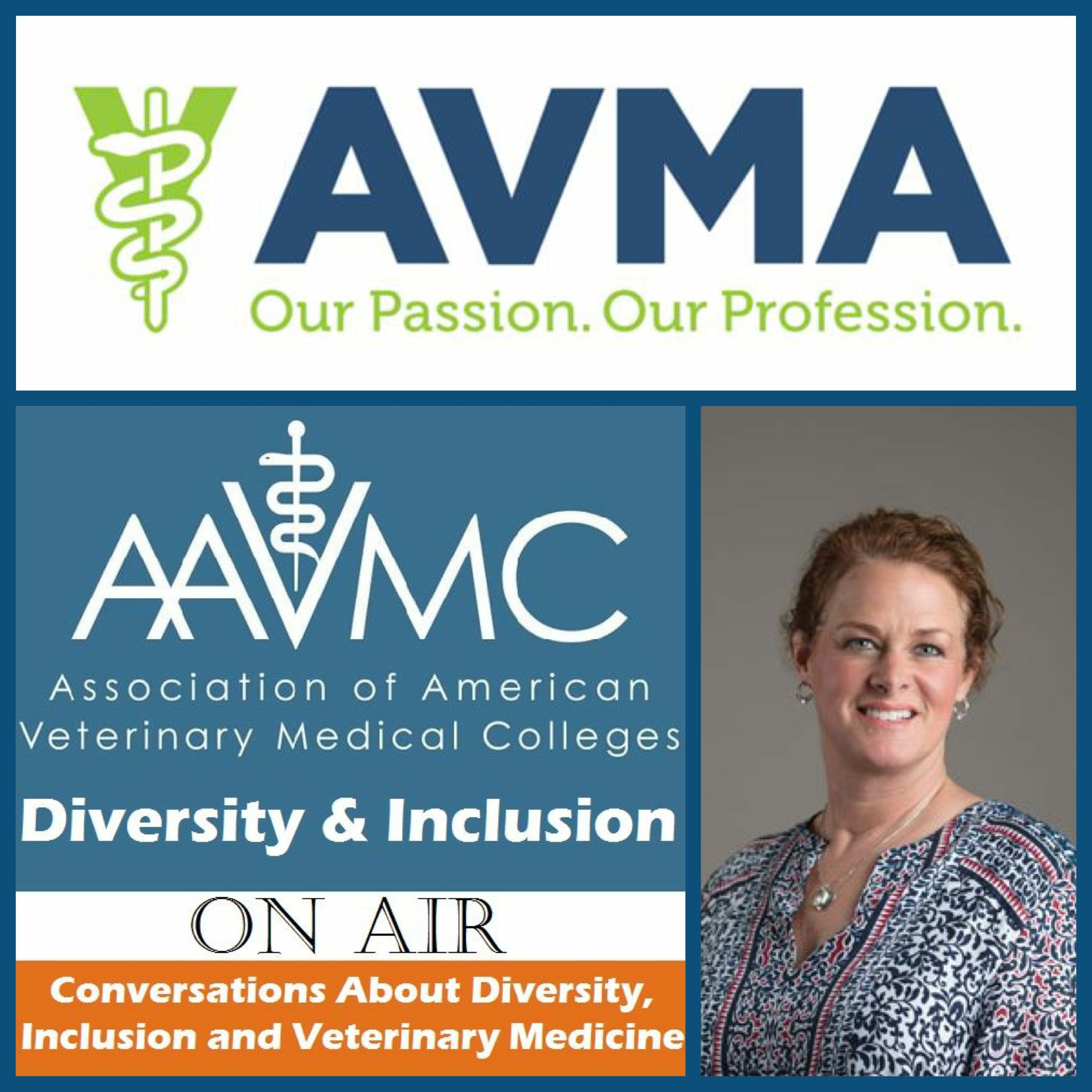 38: The American Veterinary Medical Association episode artwork