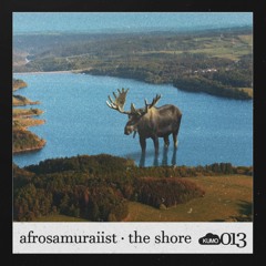 afrosamuraiist - the shore