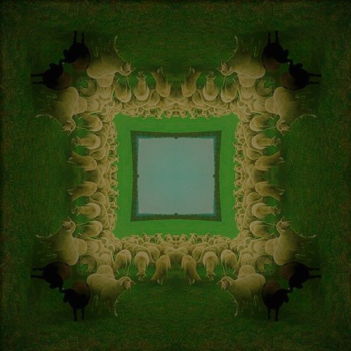 Flock Of Lambs - Tear To Fear To Cry To Die