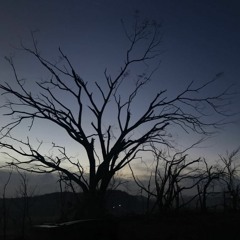 Pensamientos Repentinos