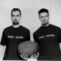 Pan Sonic V. Sebsi (Modular Analogical Improvisation)
