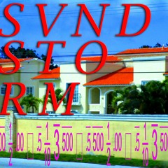 ＳＶＮＤＳＴ♢ＲＭ（の右づ）