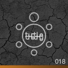 turtletheory - [018] - earth