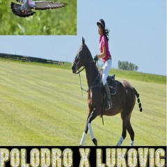 POLODRO X LUCKOVIC- DUIVEN&PAARDEN (VERY RARE )