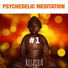 Psychedelic Meditation #1