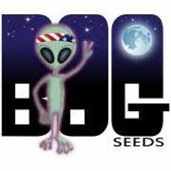 Episode 26 ft Bog of Bog Seeds