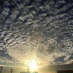 "HAUNT" -David Dale Francis (2018)