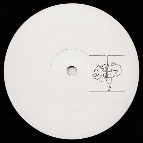 PREMIERE : Art Crime - Wounds