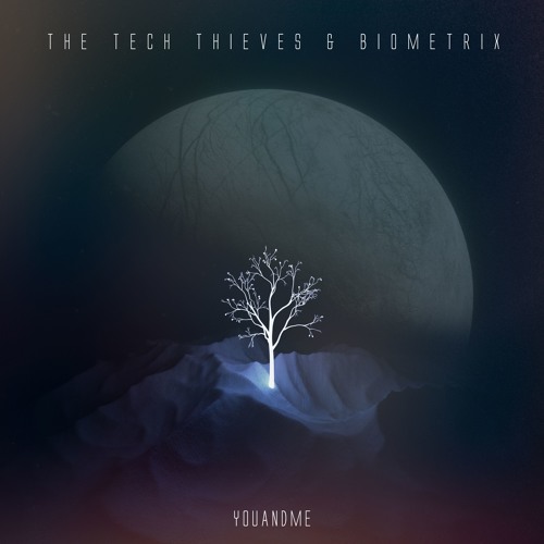 The Tech Thieves & Biometrix - youandme