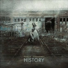Neelix & Cosmonet - History