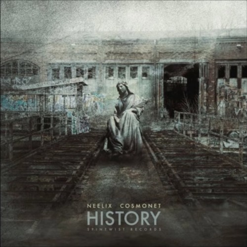 Neelix & Cosmonet - History