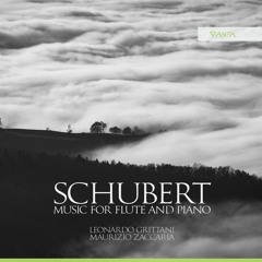 Schubert: Gute Nacht. Lieder from 'Winterreise', Op. 89, D. 911 (No. 1) - Duo Grittani-Zaccaria