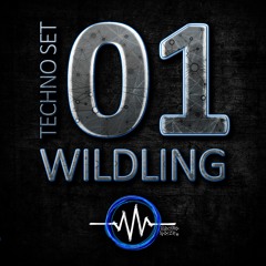 Techno Set 01 – WILDLING - Live @ MS Connexion Mannheim