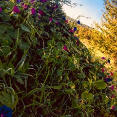 Left Alone ( prod. D-Low )