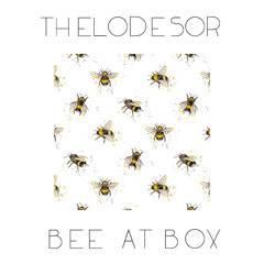 Bee at Box