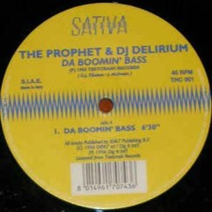 The Prophet  DJ Delirium - Da Boomin Bass Da Skunk Mix