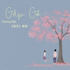 楊搏 -《遇見》Gặp Gỡ