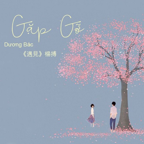 楊搏 -《遇見》Gặp Gỡ