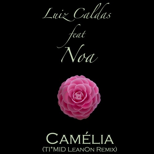 Luiz Caldas Feat. Noa - Camélia (TI*MID LeanOn Remix)