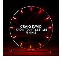 Craig David - I Know You ft. Bastille (Ben William Remix)