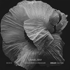 Daniel Ray - Dance with a stranger (Original Mix)