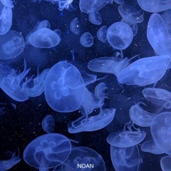 Noan