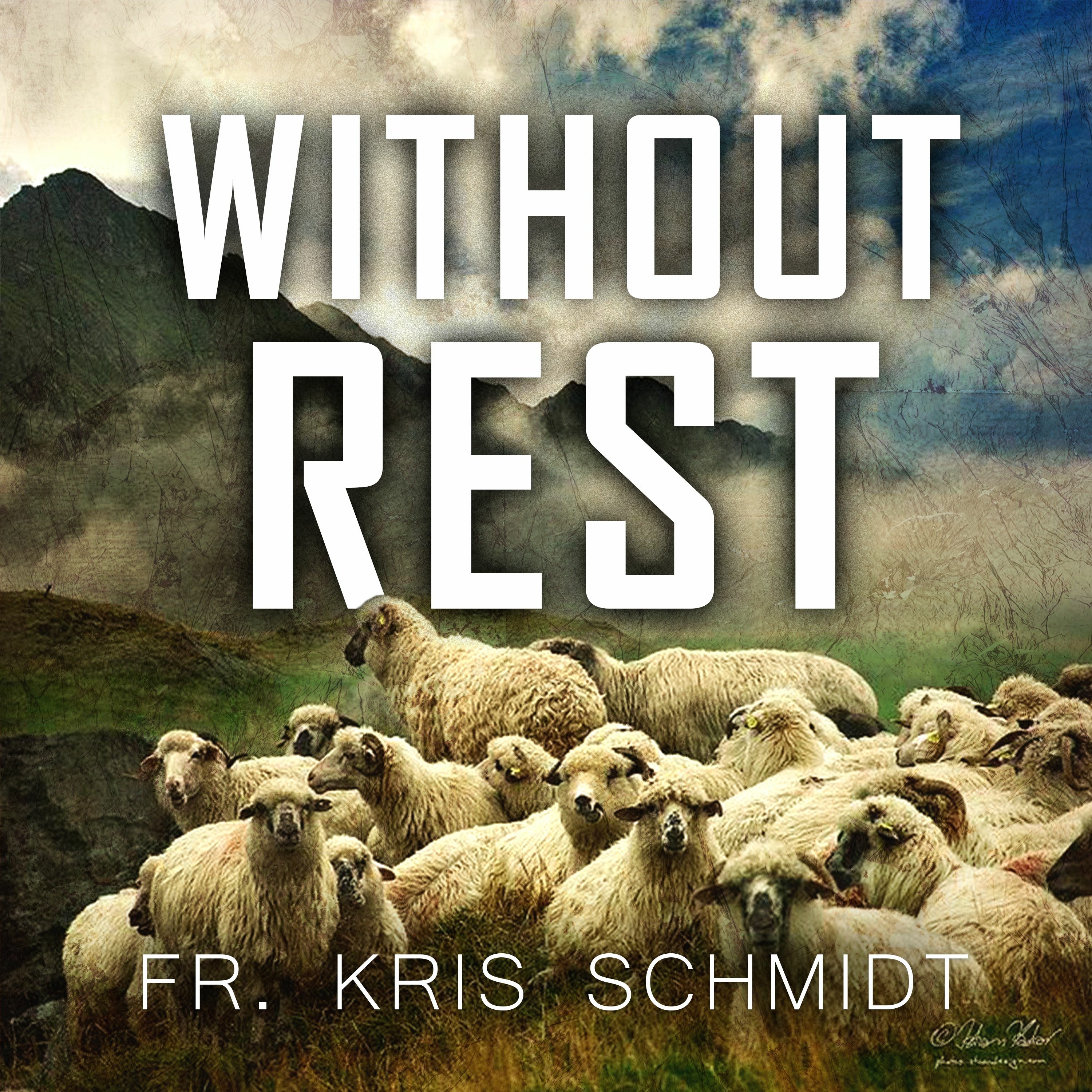 Fr. Kris Schmidt Homilies