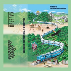 1 KALEIDO - LEAVING KOTA STATION