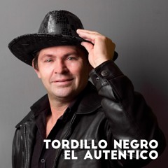 El Tordillo Negro