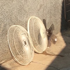 여름안에서