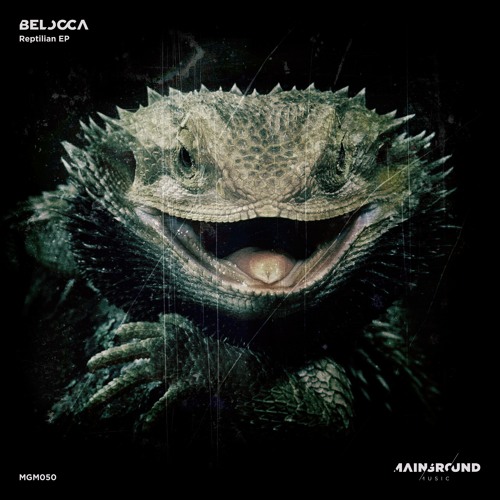 Belocca - Control System