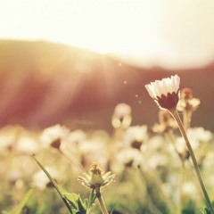 One Last One For The Summer