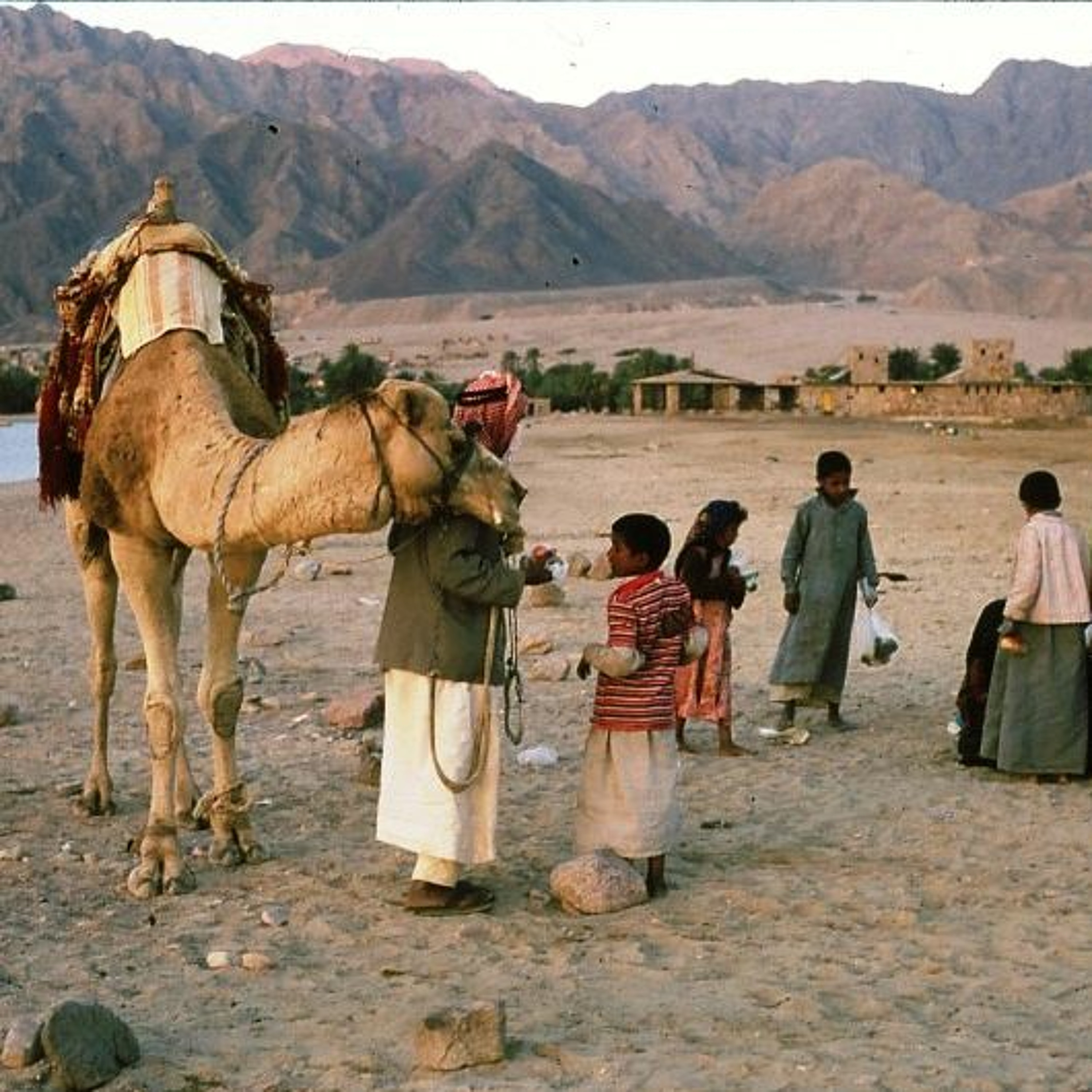 What we can all learn from the Bedouin (and Scots environmentalists) episode artwork