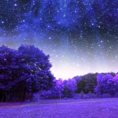 "Ясна Ночка" - Risha Manis