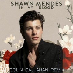 Shawn Mendes - In My Blood (Colin Callahan Remix)