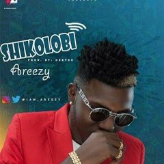 AREEZY - SHIKOLOBI MIX
