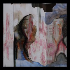 Racing Pigeons Stored In Transit