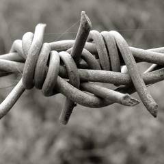 Twist In The Plot (Chapter 8 of LifeLongLove)