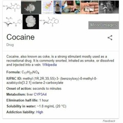 Jeden Tag Eine Bassline